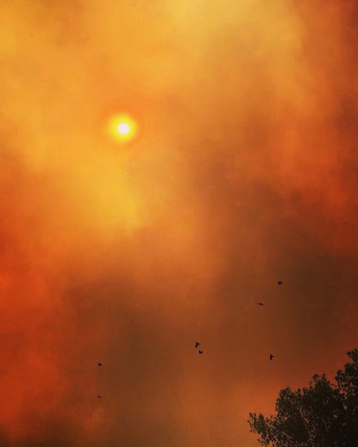 On September 9th, 2017, at about 11:30 students began rushing out of their Block 6 classrooms to find a orange sky greeting them as the walk to their next class. Students began receiving Amber alerts and text messages informing them of the Canyon 2 Fire.