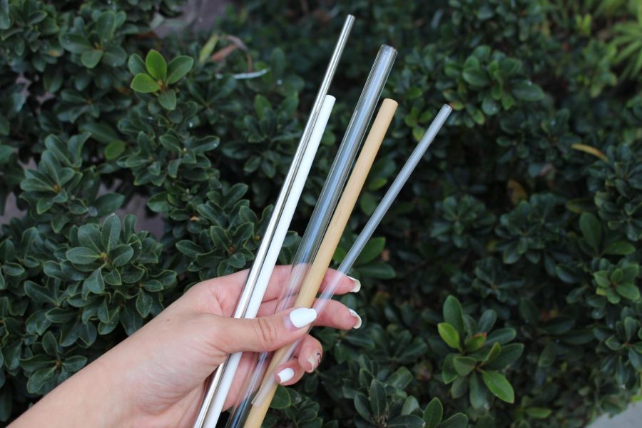 Metal, paper, glass and bamboo straws (pictured in order from left to right) are plastic straw alternatives that have grown in popularity recently due to concerns about the disposal of plastic straws. According to The New York Times, 170 to 390 million plastic straws are being used and dumped by Americans into the world’s oceans every single day.
