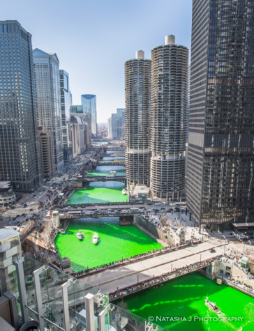 THE WORK OF THE LEPRECHAUNS: Have you ever wanted to visit Chicago on Saint Patrick’s day? If you do, it will undoubtedly be one of the coolest yet most interesting sights ever! Every year on March 17, Chicago dyes their river green! In 1961, Stephen Bailey, a plumber noticed that his friend had bright green stains (associated with the flag color of Ireland) all over his white overalls. Then, the mayor of Chicago at the time discovered where the sewage in the water was originating from and used the green dye to help the source of the leaky pipes. In 1962, the local plumbers union decided to use that 100 pounds of dye to turn the river green for Saint Patrick’s Day! This year will be the 61 year anniversary of dying the river green!