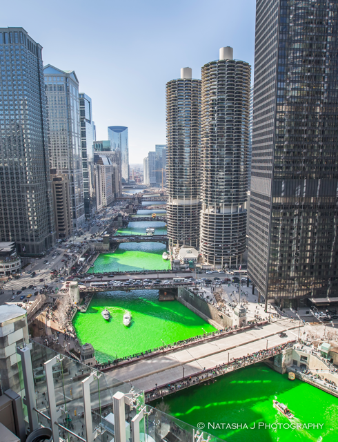 THE WORK OF THE LEPRECHAUNS: Have you ever wanted to visit Chicago on Saint Patrick’s day? If you do, it will undoubtedly be one of the coolest yet most interesting sights ever! Every year on March 17, Chicago dyes their river green! In 1961, Stephen Bailey, a plumber noticed that his friend had bright green stains (associated with the flag color of Ireland) all over his white overalls. Then, the mayor of Chicago at the time discovered where the sewage in the water was originating from and used the green dye to help the source of the leaky pipes. In 1962, the local plumbers union decided to use that 100 pounds of dye to turn the river green for Saint Patrick’s Day! This year will be the 61 year anniversary of dying the river green!